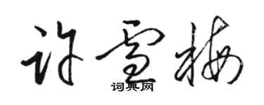 駱恆光許雪梅草書個性簽名怎么寫