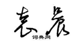 曾慶福袁晨草書個性簽名怎么寫