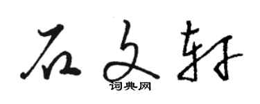 駱恆光石文軒草書個性簽名怎么寫