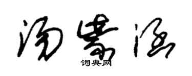 朱錫榮湯紫涵草書個性簽名怎么寫