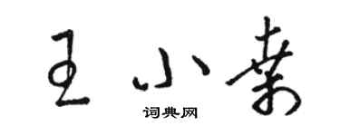 駱恆光王小桑草書個性簽名怎么寫