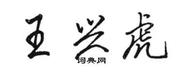 駱恆光王興虎行書個性簽名怎么寫