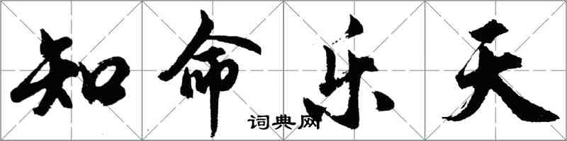 胡問遂知命樂天行書怎么寫