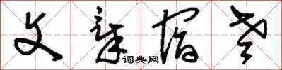 劉少英文章宿老草書怎么寫