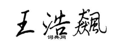 王正良王浩飈行書個性簽名怎么寫