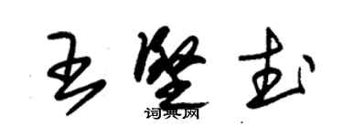 朱錫榮王堅武草書個性簽名怎么寫