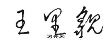 駱恆光王里貌草書個性簽名怎么寫