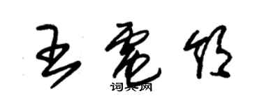 朱錫榮王電領草書個性簽名怎么寫