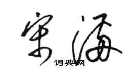 駱恆光宋滿草書個性簽名怎么寫