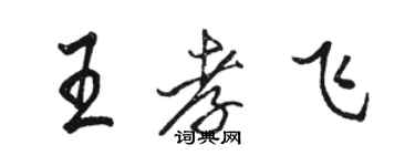 駱恆光王孝飛行書個性簽名怎么寫