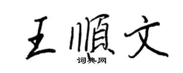 王正良王順文行書個性簽名怎么寫