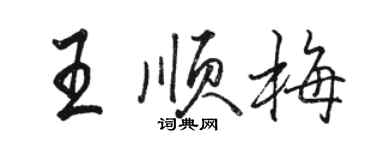 駱恆光王順梅行書個性簽名怎么寫