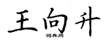 丁謙王向升楷書個性簽名怎么寫