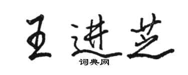 駱恆光王進芝行書個性簽名怎么寫