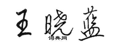 駱恆光王曉藍行書個性簽名怎么寫