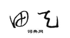 駱恆光田天草書個性簽名怎么寫
