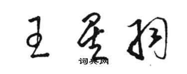 駱恆光王星羽草書個性簽名怎么寫