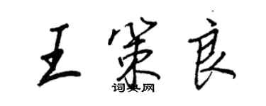 王正良王策良行書個性簽名怎么寫