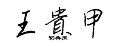 王正良王貴甲行書個性簽名怎么寫