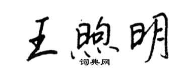 王正良王煦明行書個性簽名怎么寫