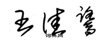朱錫榮王佳鷺草書個性簽名怎么寫