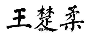 翁闓運王楚柔楷書個性簽名怎么寫