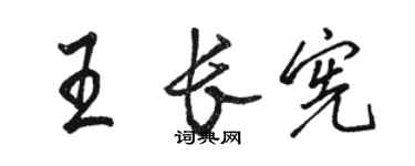 駱恆光王長憲行書個性簽名怎么寫