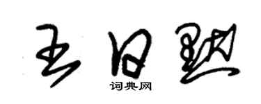 朱錫榮王日默草書個性簽名怎么寫