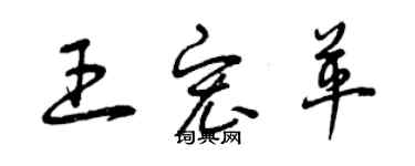 曾慶福王宏革草書個性簽名怎么寫