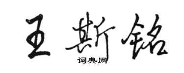 駱恆光王斯銘行書個性簽名怎么寫