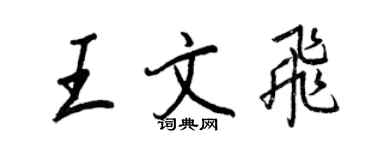 王正良王文飛行書個性簽名怎么寫