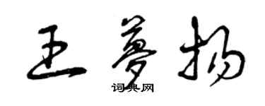 曾慶福王夢揚草書個性簽名怎么寫