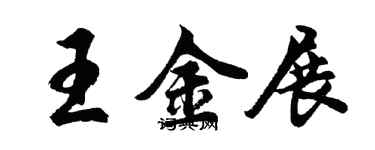 胡問遂王金展行書個性簽名怎么寫