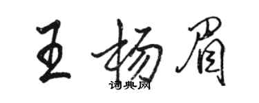 駱恆光王楊眉行書個性簽名怎么寫