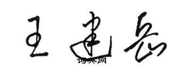 駱恆光王建岳草書個性簽名怎么寫