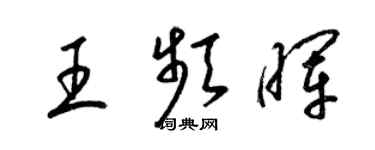 梁錦英王頻暉草書個性簽名怎么寫