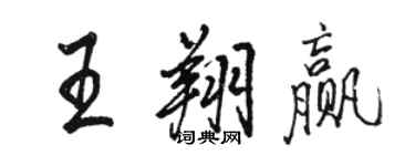 駱恆光王翔贏行書個性簽名怎么寫