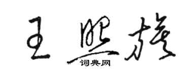 駱恆光王照旗草書個性簽名怎么寫