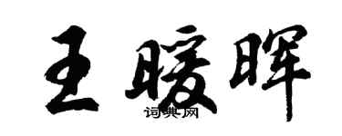 胡問遂王暖暉行書個性簽名怎么寫