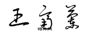 曾慶福王齊蘭草書個性簽名怎么寫