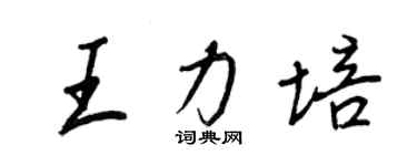 王正良王力培行書個性簽名怎么寫