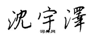 王正良沈宇澤行書個性簽名怎么寫