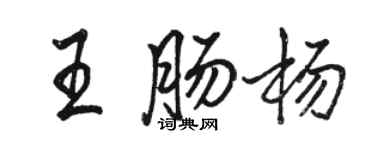 駱恆光王腸楊行書個性簽名怎么寫
