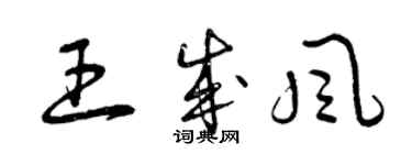 曾慶福王成風草書個性簽名怎么寫