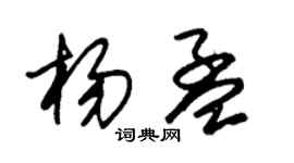 朱錫榮楊孟草書個性簽名怎么寫