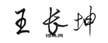 駱恆光王長坤行書個性簽名怎么寫