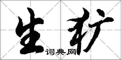 胡問遂生獷行書怎么寫