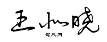 曾慶福王北曉草書個性簽名怎么寫