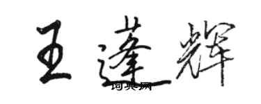 駱恆光王蓬輝行書個性簽名怎么寫