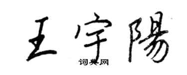 王正良王宇陽行書個性簽名怎么寫